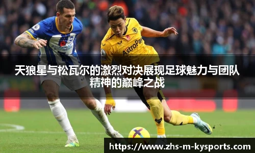 天狼星与松瓦尔的激烈对决展现足球魅力与团队精神的巅峰之战